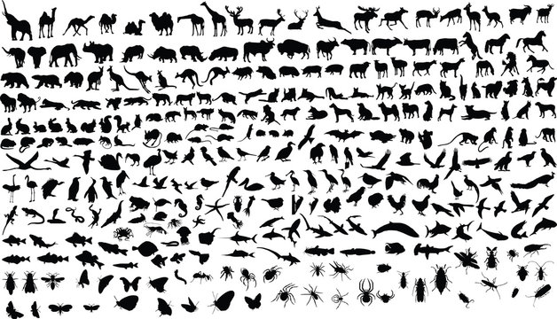 300 vector silhouettes of animals