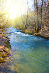 River in spring season