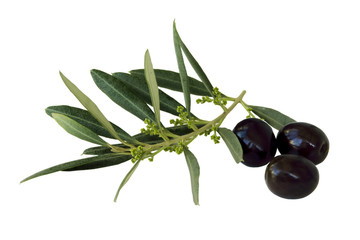olives