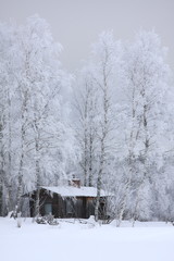 House in winter