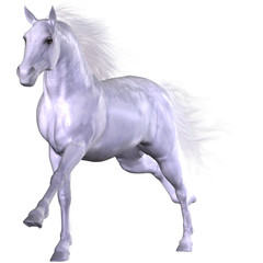 Fototapeta na wymiar Beautiful Horse