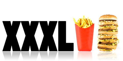 cheeseburger and french fries XXXL
