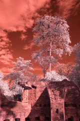 Fototapety na wymiar - Fototapeta24.pl