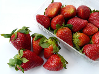 fragole in vaschetta