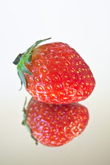 Frische Erdbeere mit Spiegelung