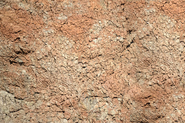 terra arida