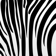 Abstract black zebra skin simulation pattern