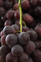 Uvas Pretas - Grapes - Raisin - Traube - Uva