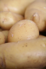 Batata - Batatas - Potato - Patate - Patata - Kartoffel