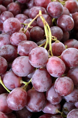 Uvas Pretas - Grapes - Raisin - Traube - Uva