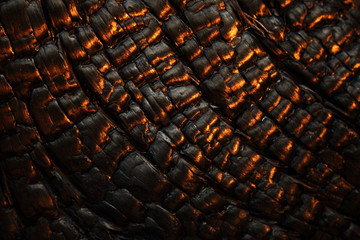 Burned stump macro