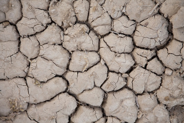Dry Cracked Mud 0486