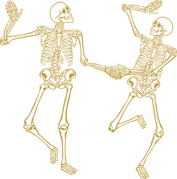 skeleton