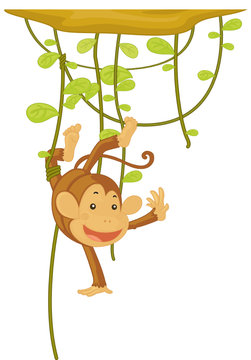 recommend clip art: monkey