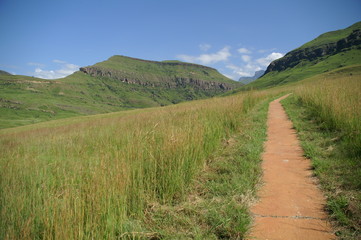 Fototapeta na wymiar Drakensberge2