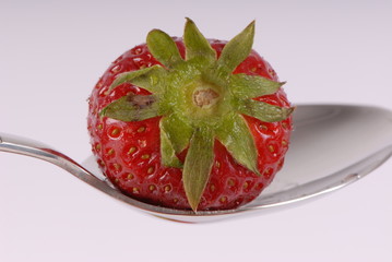 truskawka, strawberry