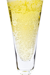 Bubbles of champagne closeup