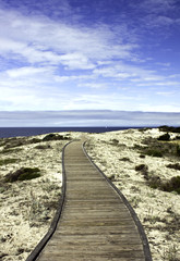 Fototapeta na wymiar Boardwalk over sand dunes with blue sky and clouds on the Califo