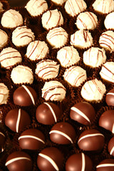 Praliné