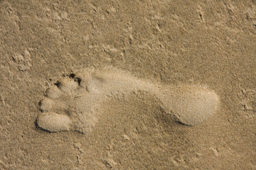 sandy footprint