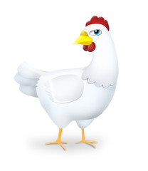 Cartoon Chicken