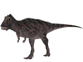 Obraz na płótnie Canvas Majungasaurus Crenatissimus - 3D Dinosaurier