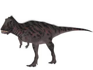 Fototapeten Majungasaurus Crenatissimus - 3D Dinosaurier © Andreas Meyer