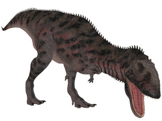 Fototapeta premium Majungasaurus Crenatissimus - 3D Dinosaurier