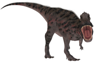 Obraz na płótnie Canvas Majungasaurus Crenatissimus - 3D Dinosaurier