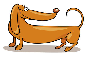 Dachshund Dog smiling