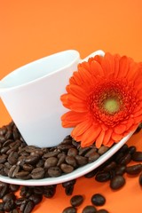 Kaffeepause