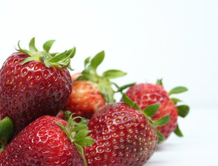 strawberry - Strawberries - Morangos - Fraises - Fresas