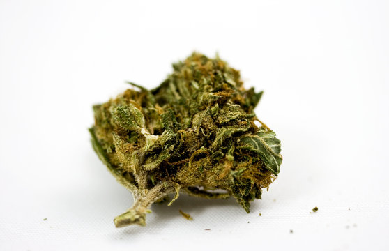 marijuana