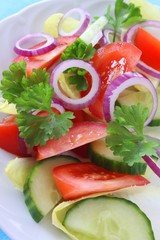 tomato, cucumber, endive, red onion and parsley salad