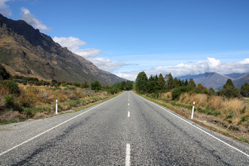 Fototapeta premium Straight road in New Zealand, Otago region
