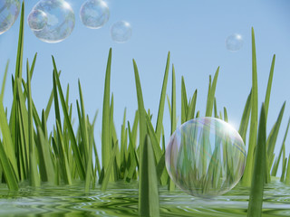 Seifenblasen, Wasser und Gras