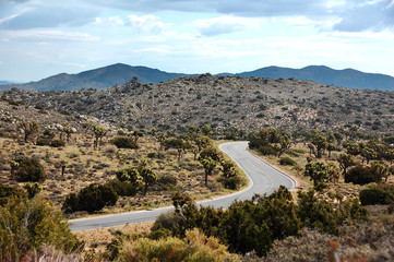 Obraz premium Windy Road through Desert Landscape