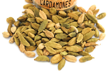 cardamones