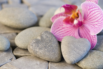 Obraz na płótnie Canvas Orchid i kamień serca
