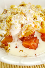 Fruit Crumble