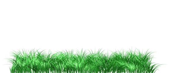 Gras freigestellt