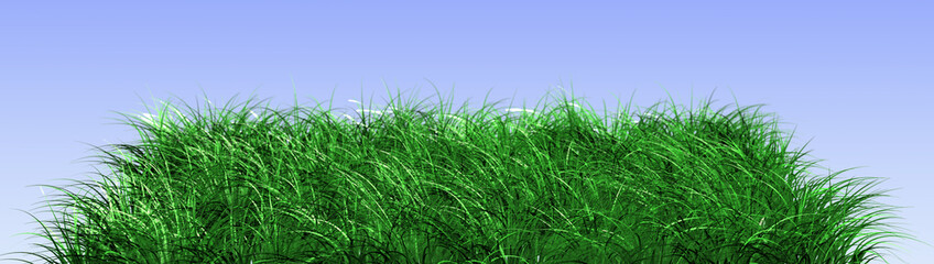 Gras freigestellt