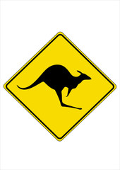 Kangaroo