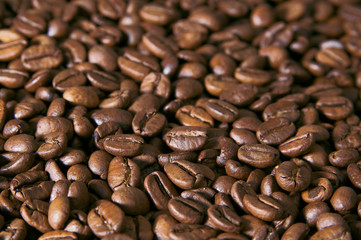 Coffe beans