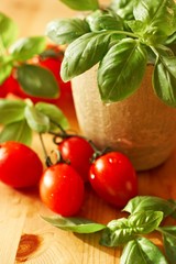 Fresh Basil and Cherry Tomatoes