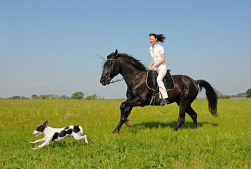 cavaliere et son chien