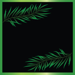 Fototapeta na wymiar Two green branches on a black background