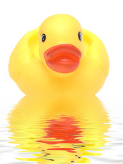 duck in water