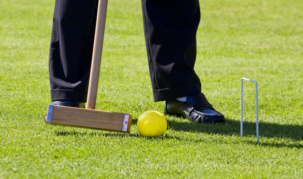 Making Croquet Shot