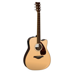 Obraz premium Acoustic Guitar